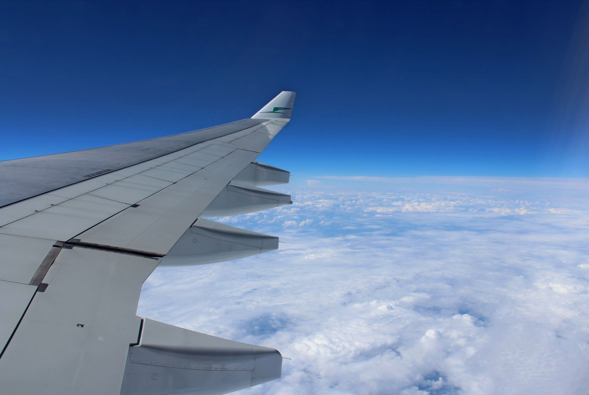 Flyvinge under rejse
